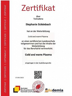 Kalt und warm Plasma Schulung